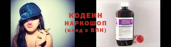 дживик Козельск