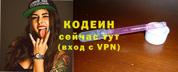 соль ск Коряжма