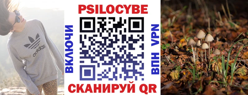 Псилоцибиновые грибы Cubensis  OMG как зайти  Красавино  купить закладку 